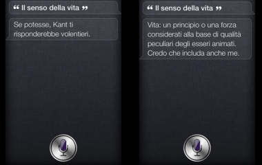 siri divertente immagine